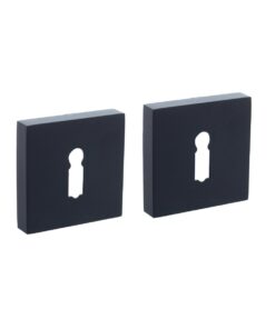 Intersteel Sleutelrozetten verdekt 52x52x10mm met nokken zwart