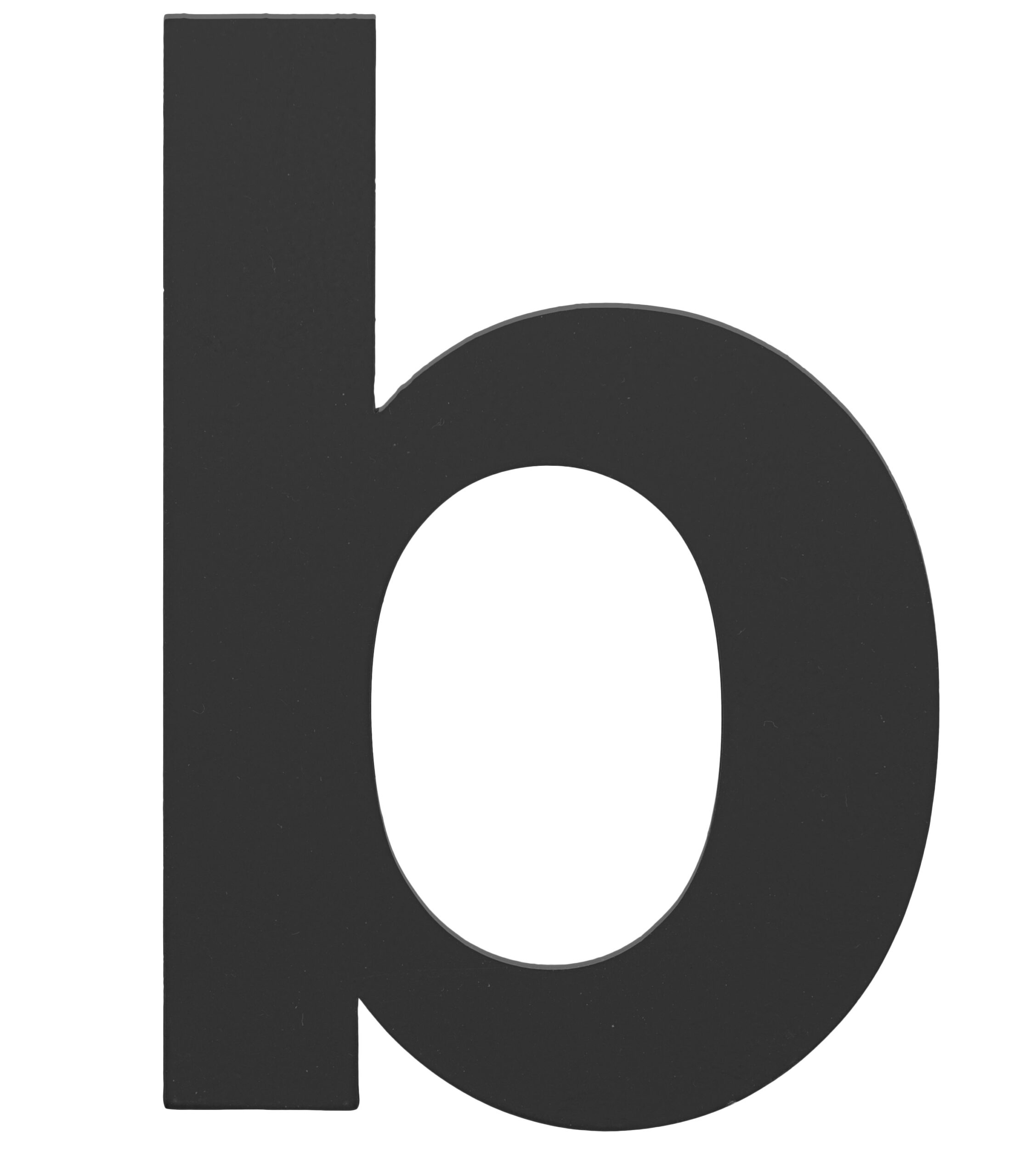 Formani BASICS LBHN100-B huisletter met blinde bevestiging en afstandshouders mat zwart