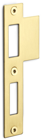 Formani BASICS LBSPNYW sluitplaat rechthoekig PVD mat goud