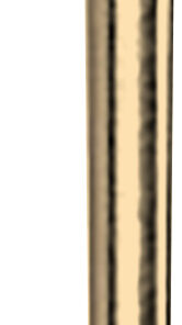 PVD mat goud