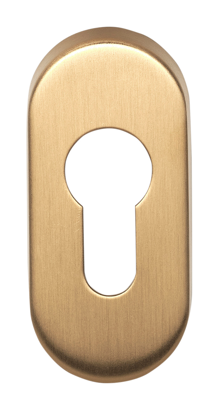 Formani BASICS LBY32 cilinderplaatje ovaal PVD mat goud